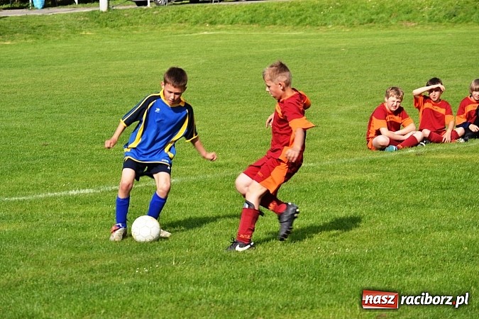 Zdjęcie w galerii na portalu naszraciborz.pl: Piąta wygrana orlików Pawłowa w ich piątym meczu wiadomości z regionu
