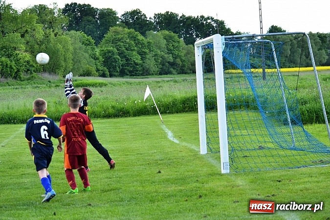 Zdjęcie w galerii na portalu naszraciborz.pl: Piąta wygrana orlików Pawłowa w ich piątym meczu wiadomości z regionu