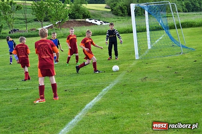 Zdjęcie w galerii na portalu naszraciborz.pl: Piąta wygrana orlików Pawłowa w ich piątym meczu wiadomości z regionu