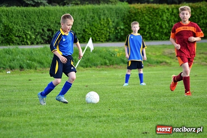 Zdjęcie w galerii na portalu naszraciborz.pl: Piąta wygrana orlików Pawłowa w ich piątym meczu wiadomości z regionu