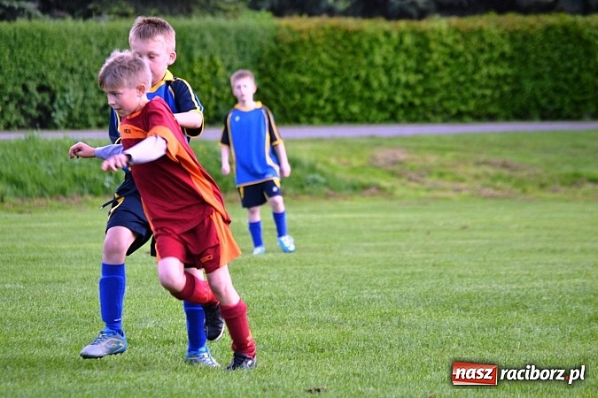 Zdjęcie w galerii na portalu naszraciborz.pl: Piąta wygrana orlików Pawłowa w ich piątym meczu wiadomości z regionu