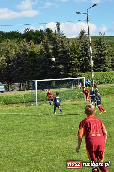 Zdjęcie w galerii na portalu naszraciborz.pl: Piąta wygrana orlików Pawłowa w ich piątym meczu wiadomości z regionu