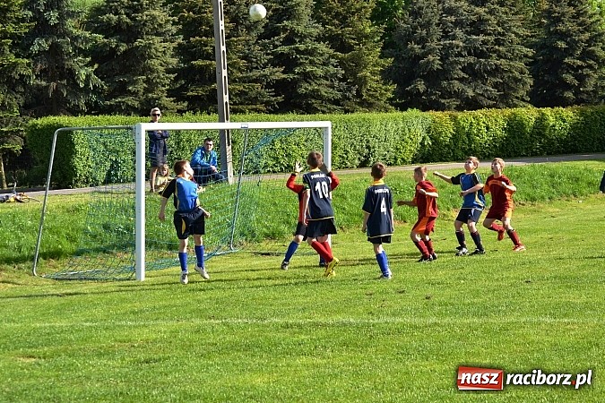 Zdjęcie w galerii na portalu naszraciborz.pl: Piąta wygrana orlików Pawłowa w ich piątym meczu wiadomości z regionu