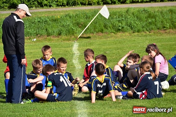 Zdjęcie w galerii na portalu naszraciborz.pl: Piąta wygrana orlików Pawłowa w ich piątym meczu wiadomości z regionu