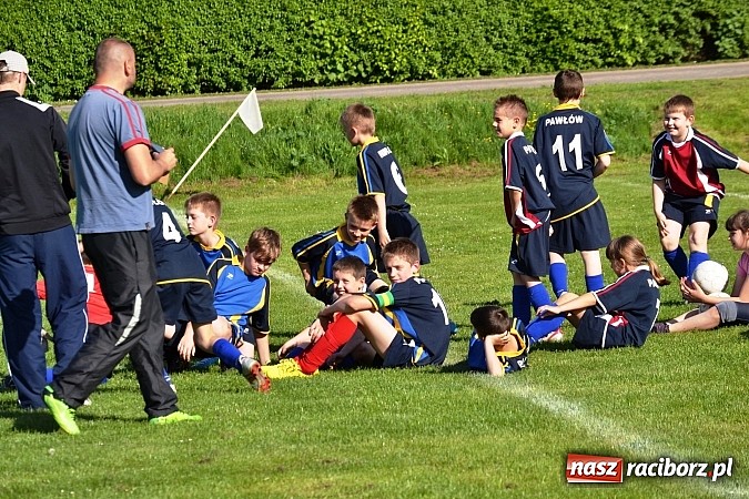 Zdjęcie w galerii na portalu naszraciborz.pl: Piąta wygrana orlików Pawłowa w ich piątym meczu wiadomości z regionu
