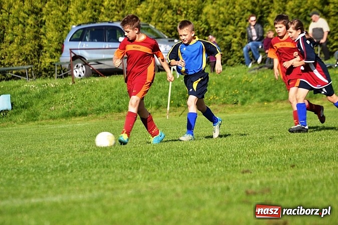 Zdjęcie w galerii na portalu naszraciborz.pl: Piąta wygrana orlików Pawłowa w ich piątym meczu wiadomości z regionu
