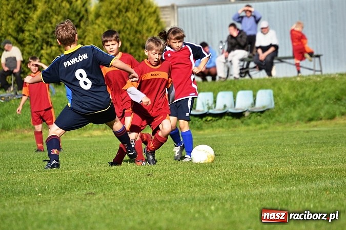 Zdjęcie w galerii na portalu naszraciborz.pl: Piąta wygrana orlików Pawłowa w ich piątym meczu wiadomości z regionu