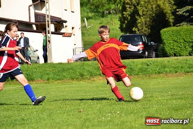 Zdjęcie w galerii na portalu naszraciborz.pl: Piąta wygrana orlików Pawłowa w ich piątym meczu wiadomości z regionu