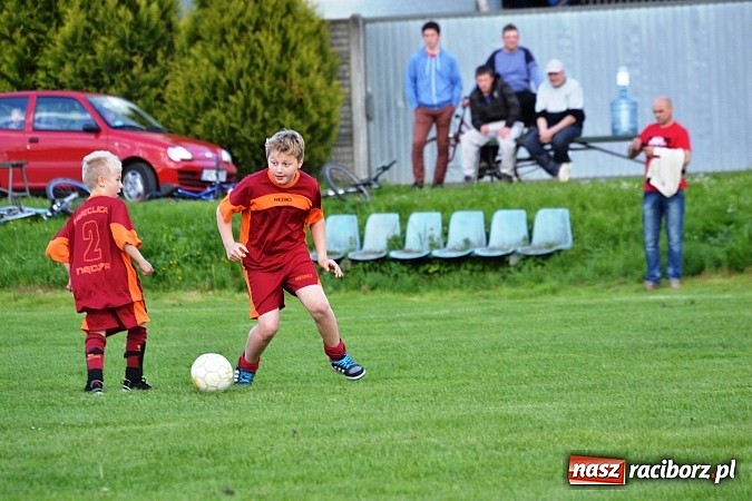 Zdjęcie w galerii na portalu naszraciborz.pl: Piąta wygrana orlików Pawłowa w ich piątym meczu wiadomości z regionu
