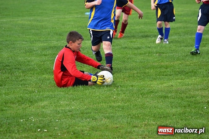 Zdjęcie w galerii na portalu naszraciborz.pl: Piąta wygrana orlików Pawłowa w ich piątym meczu wiadomości z regionu