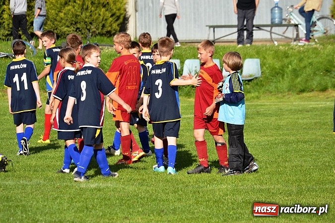 Zdjęcie w galerii na portalu naszraciborz.pl: Piąta wygrana orlików Pawłowa w ich piątym meczu wiadomości z regionu