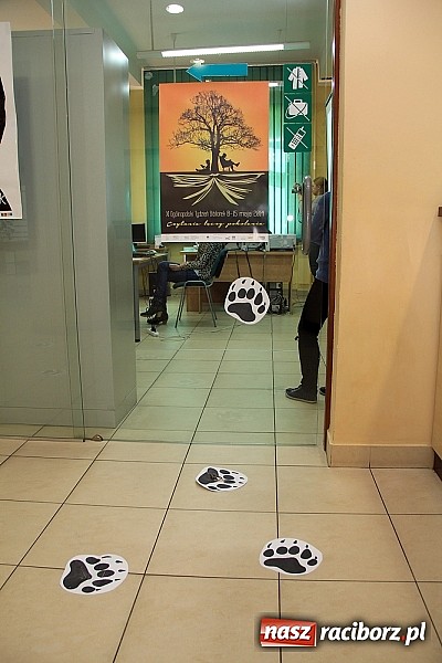 Zdjęcie w galerii na portalu naszraciborz.pl: Tydzień Bibliotek w PWSZ: Opowieść dziadka - śladami niedźwiedzia Wojtka wiadomości z regionu