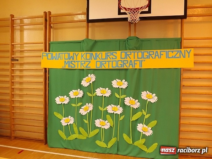 Zdjęcie w galerii na portalu naszraciborz.pl: Mistrzowie ortografii z całego powiatu w ZSP nr 3 w Raciborzu wiadomości z regionu
