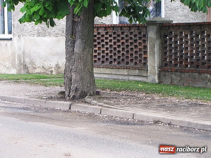 Zdjęcie w galerii na portalu naszraciborz.pl: Ulice Kietrza zanieczyszczone po przejściu burzy - zobacz zdjęcia wiadomości z regionu