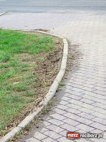 Zdjęcie w galerii na portalu naszraciborz.pl: Ulice Kietrza zanieczyszczone po przejściu burzy - zobacz zdjęcia wiadomości z regionu