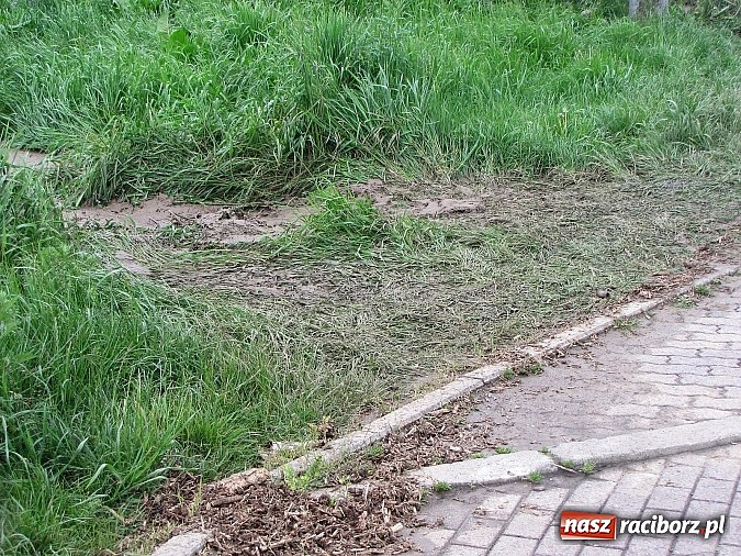 Zdjęcie w galerii na portalu naszraciborz.pl: Ulice Kietrza zanieczyszczone po przejściu burzy - zobacz zdjęcia wiadomości z regionu