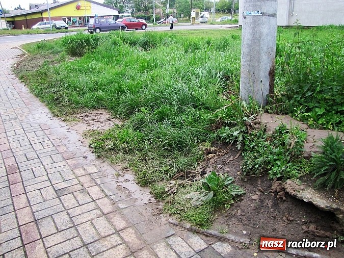 Zdjęcie w galerii na portalu naszraciborz.pl: Ulice Kietrza zanieczyszczone po przejściu burzy - zobacz zdjęcia wiadomości z regionu