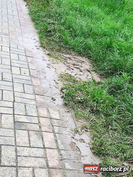 Zdjęcie w galerii na portalu naszraciborz.pl: Ulice Kietrza zanieczyszczone po przejściu burzy - zobacz zdjęcia wiadomości z regionu