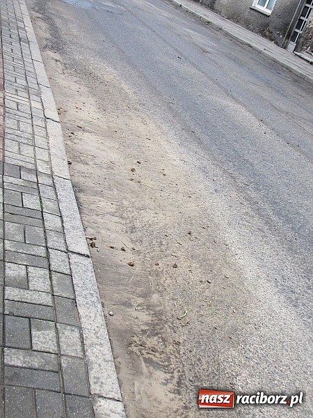 Zdjęcie w galerii na portalu naszraciborz.pl: Ulice Kietrza zanieczyszczone po przejściu burzy - zobacz zdjęcia wiadomości z regionu