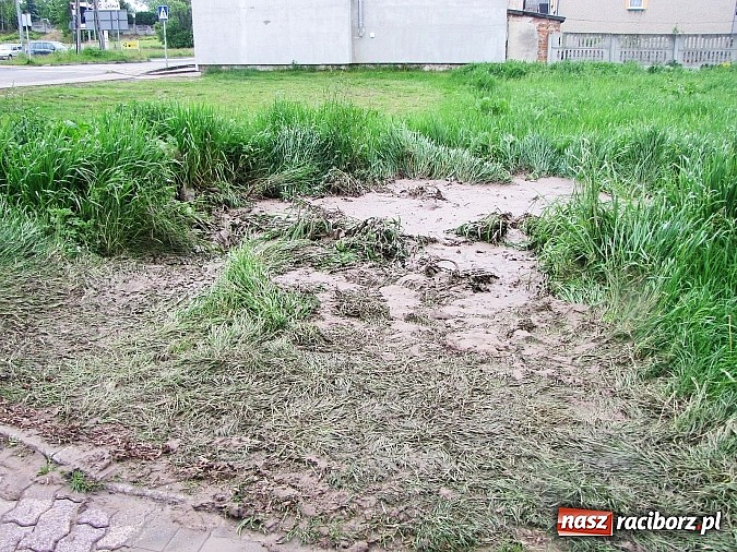 Zdjęcie w galerii na portalu naszraciborz.pl: Ulice Kietrza zanieczyszczone po przejściu burzy - zobacz zdjęcia wiadomości z regionu