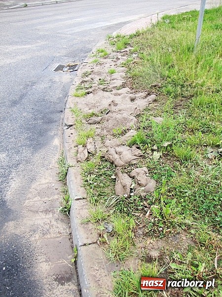 Zdjęcie w galerii na portalu naszraciborz.pl: Ulice Kietrza zanieczyszczone po przejściu burzy - zobacz zdjęcia wiadomości z regionu