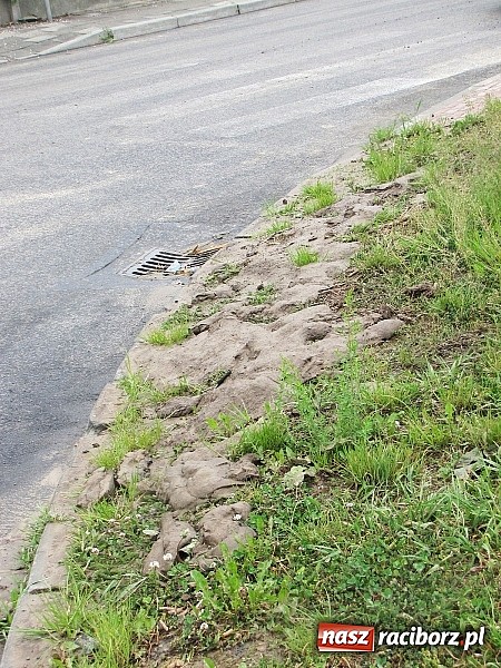 Zdjęcie w galerii na portalu naszraciborz.pl: Ulice Kietrza zanieczyszczone po przejściu burzy - zobacz zdjęcia wiadomości z regionu