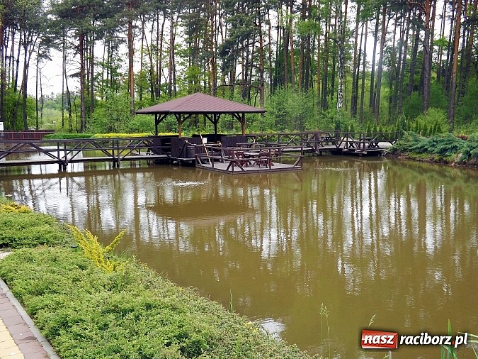 Zdjęcie w galerii na portalu naszraciborz.pl: Zapach dań z grilla na Leśnej Polanie wiadomości z regionu