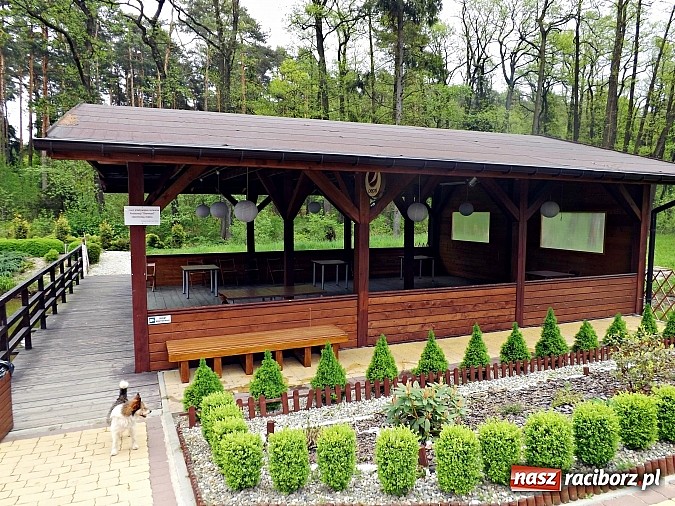 Zdjęcie w galerii na portalu naszraciborz.pl: Zapach dań z grilla na Leśnej Polanie wiadomości z regionu