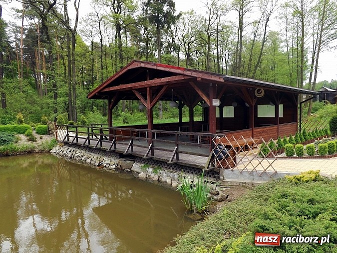 Zdjęcie w galerii na portalu naszraciborz.pl: Zapach dań z grilla na Leśnej Polanie wiadomości z regionu