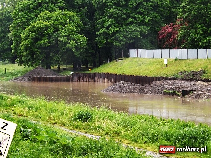 Zdjęcie w galerii na portalu naszraciborz.pl: Odra w Raciborskiem przekroczyła stany alarmowe. Służby uspokajają - nie ma pogotowia przeciwpowodziowego wiadomości z regionu