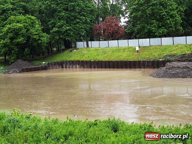 Zdjęcie w galerii na portalu naszraciborz.pl: Odra w Raciborskiem przekroczyła stany alarmowe. Służby uspokajają - nie ma pogotowia przeciwpowodziowego wiadomości z regionu