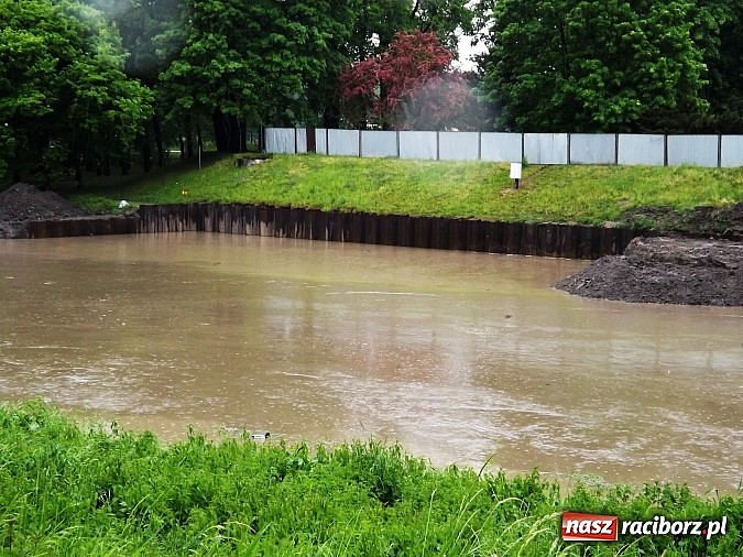 Zdjęcie w galerii na portalu naszraciborz.pl: Odra w Raciborskiem przekroczyła stany alarmowe. Służby uspokajają - nie ma pogotowia przeciwpowodziowego wiadomości z regionu