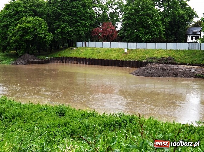 Zdjęcie w galerii na portalu naszraciborz.pl: Odra w Raciborskiem przekroczyła stany alarmowe. Służby uspokajają - nie ma pogotowia przeciwpowodziowego wiadomości z regionu