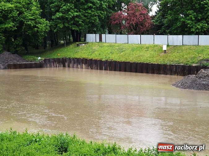 Zdjęcie w galerii na portalu naszraciborz.pl: Odra w Raciborskiem przekroczyła stany alarmowe. Służby uspokajają - nie ma pogotowia przeciwpowodziowego wiadomości z regionu