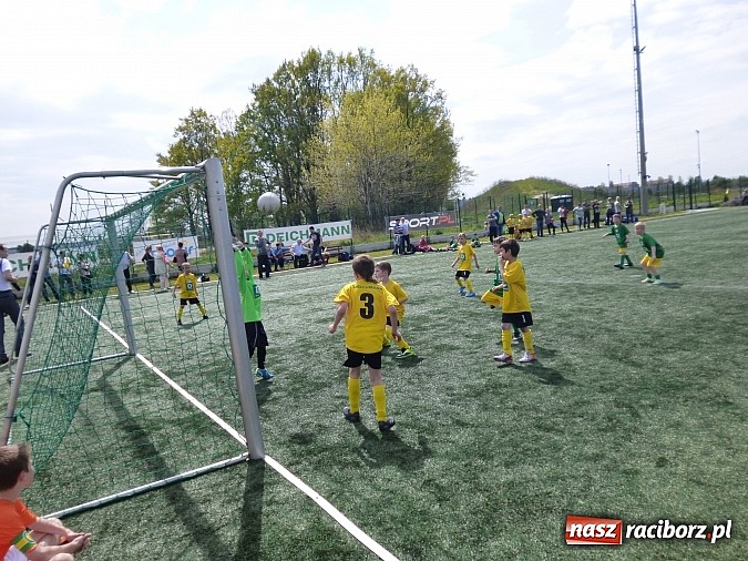 Zdjęcie w galerii na portalu naszraciborz.pl: Jamajczycy z Tworkowa na MiniMistrzostwach Deichmann w Opolu wiadomości z regionu