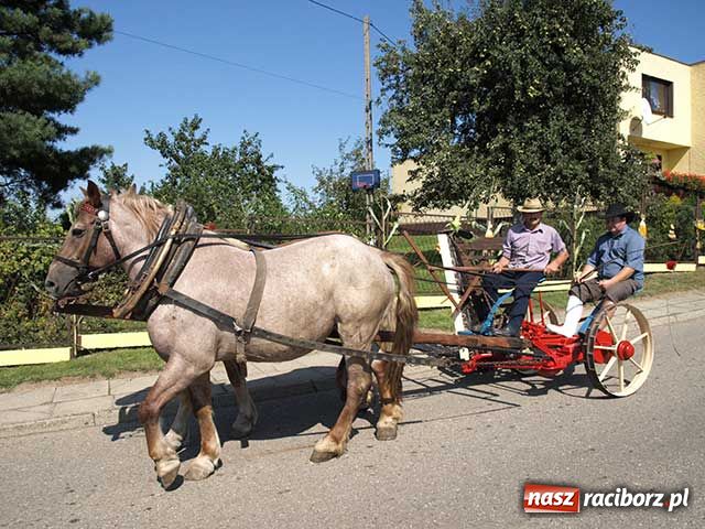 Zdjęcie w galerii na portalu naszraciborz.pl: My tu się dobrze bawimy wiadomości z regionu