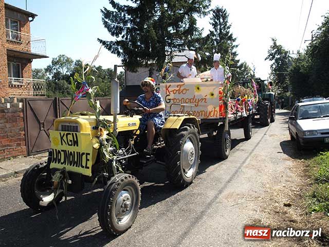 Zdjęcie w galerii na portalu naszraciborz.pl: My tu się dobrze bawimy wiadomości z regionu