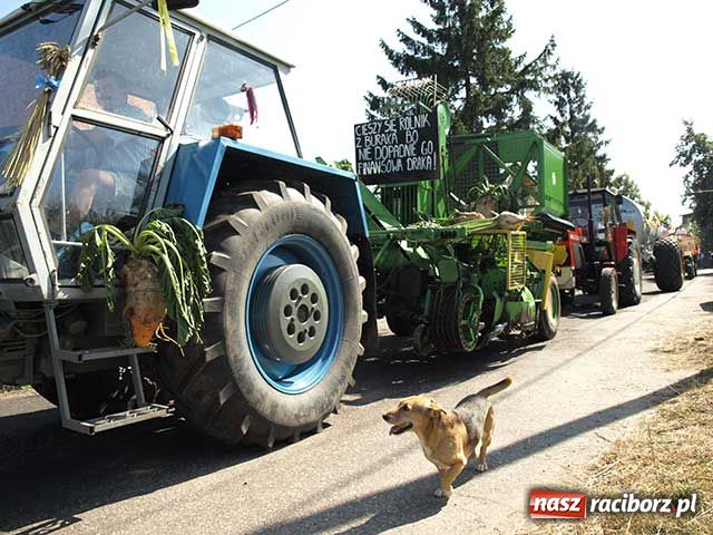 Zdjęcie w galerii na portalu naszraciborz.pl: My tu się dobrze bawimy wiadomości z regionu