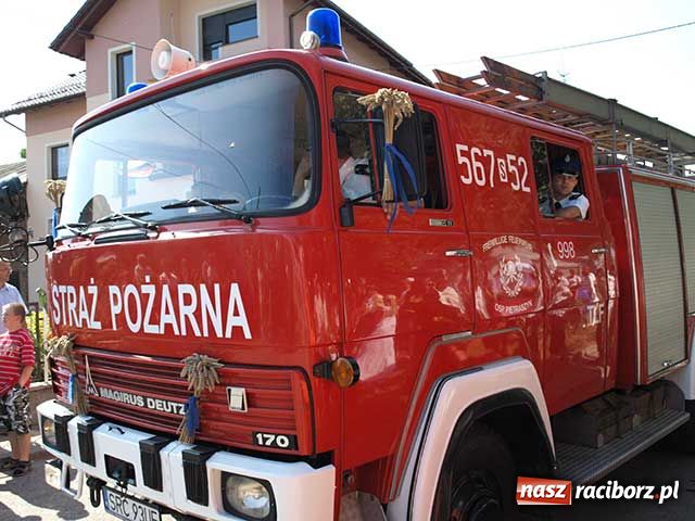 Zdjęcie w galerii na portalu naszraciborz.pl: My tu się dobrze bawimy wiadomości z regionu