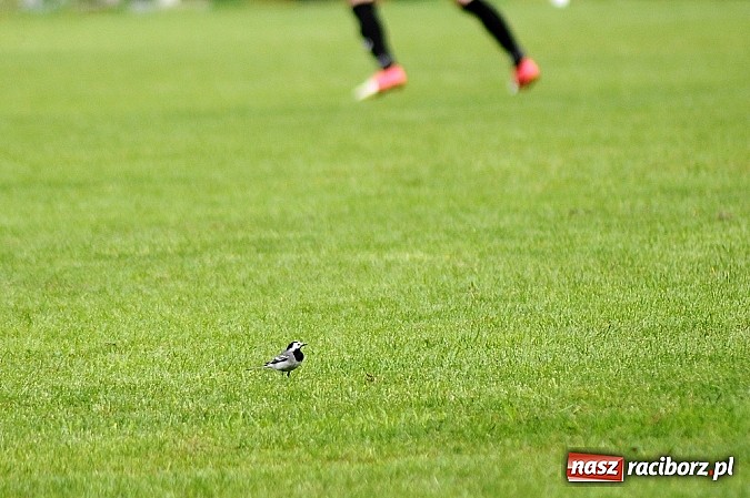 Zdjęcie w galerii na portalu naszraciborz.pl: A klasa: Krzanowice wywiozły punkt z Rud wiadomości z regionu