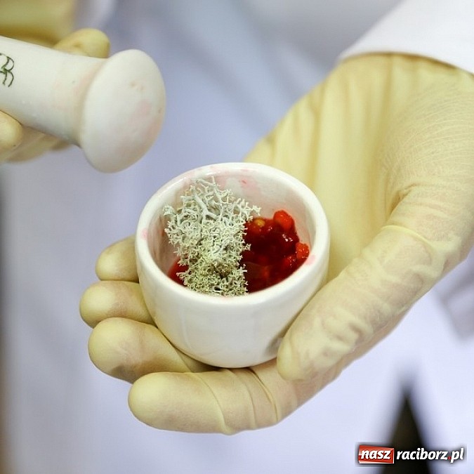 Zdjęcie w galerii na portalu naszraciborz.pl: Dzień Matki w Mydlarni i Herbaciarni Skarby Świata Całego czyli pomysł na oryginalny prezent dla naszych kochanych Mam wiadomości z regionu