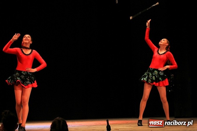 Zdjęcie w galerii na portalu naszraciborz.pl: Festiwal Twórczości Artystycznej Racibórz 2014. Dziś w Strzesze zagościł taniec wiadomości z regionu