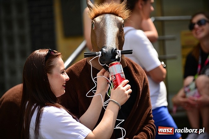 Zdjęcie w galerii na portalu naszraciborz.pl: Juwe... juwe... juwenalia 2014! Studencka impreza oficjalnie rozpoczęta wiadomości z regionu