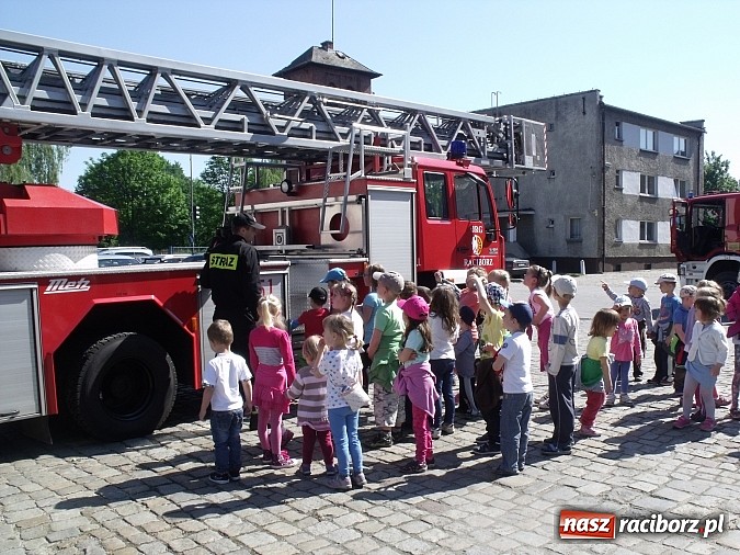 Zdjęcie w galerii na portalu naszraciborz.pl: Bezpieczny przedszkolak ze Studziennej  wiadomości z regionu