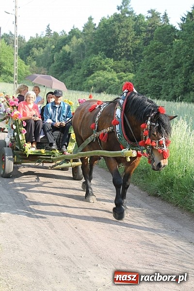 Zdjęcie w galerii na portalu naszraciborz.pl: W Brzeziu jak co roku szli ze świętym Urbanem wiadomości z regionu