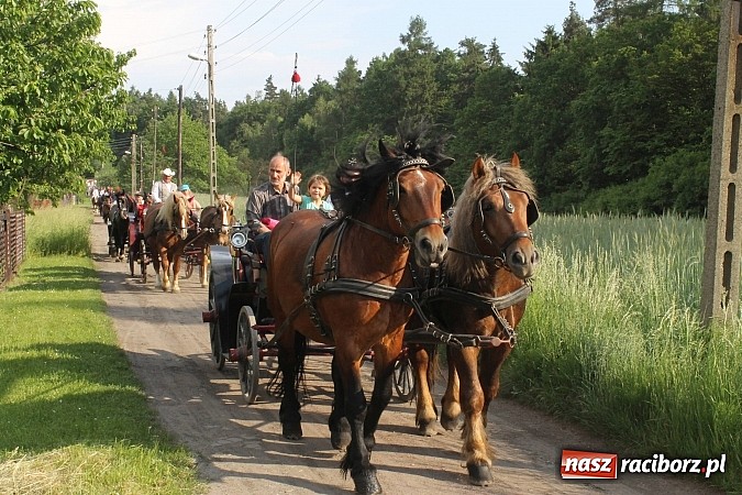 Zdjęcie w galerii na portalu naszraciborz.pl: W Brzeziu jak co roku szli ze świętym Urbanem wiadomości z regionu