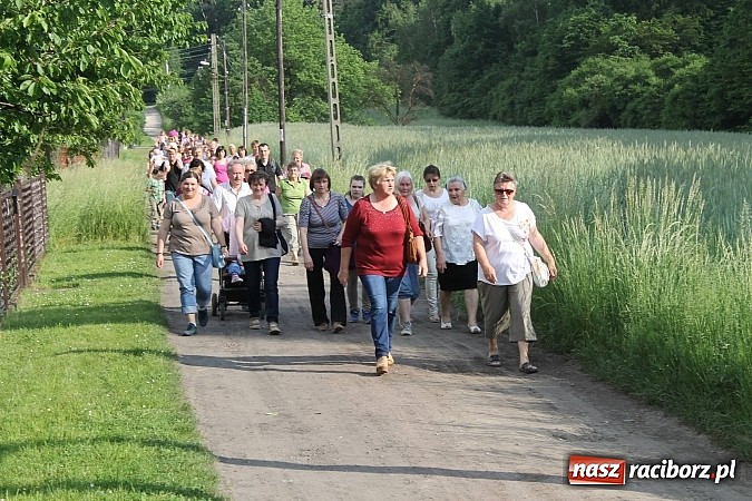 Zdjęcie w galerii na portalu naszraciborz.pl: W Brzeziu jak co roku szli ze świętym Urbanem wiadomości z regionu