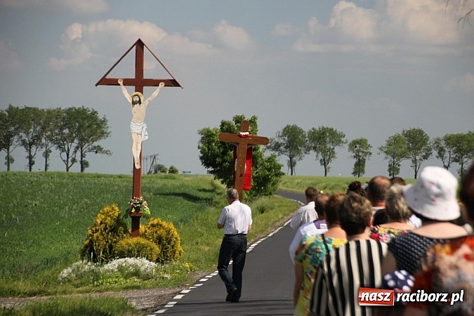 Zdjęcie w galerii na portalu naszraciborz.pl: W Wojnowicach szli do krzyża wiadomości z regionu