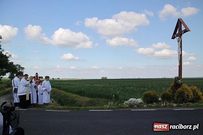 Zdjęcie w galerii na portalu naszraciborz.pl: W Wojnowicach szli do krzyża wiadomości z regionu