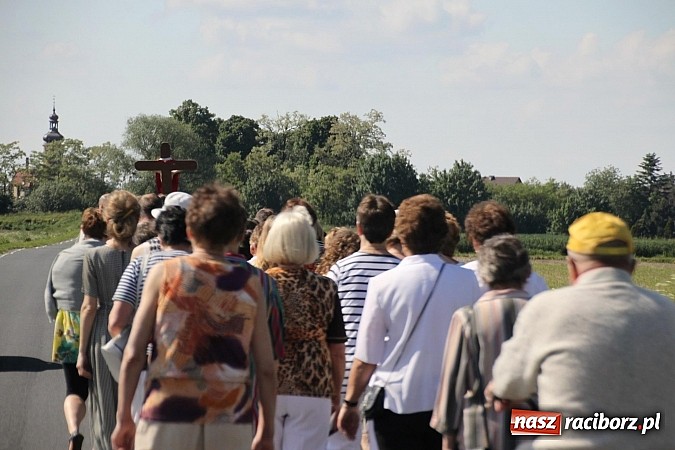 Zdjęcie w galerii na portalu naszraciborz.pl: W Wojnowicach szli do krzyża wiadomości z regionu